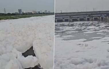 Yamuna River: বিষাক্ত ফেনা বইছে যমুনাতে, বর্ষাতেও নদীর এই হাল দেখে চিন্তায় প্রশাসন, ব্যাহত হতে পারে জল পরিষেবা