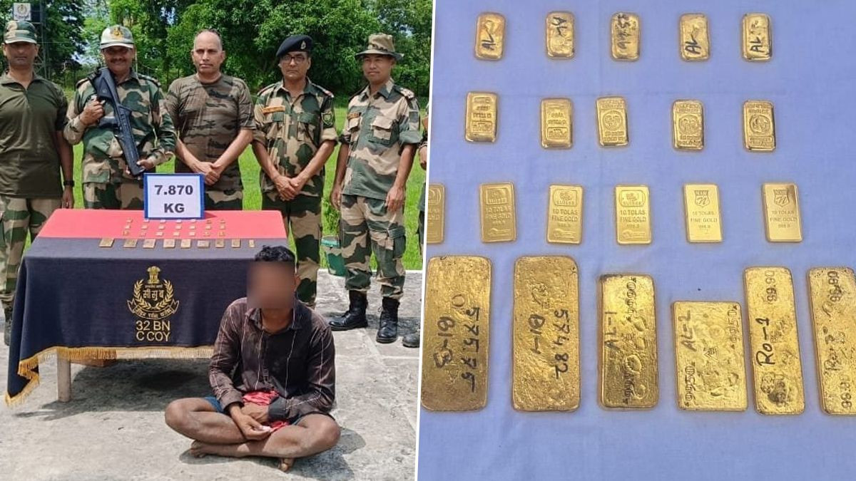 BSF seized Gold bricks and biscuits: দক্ষিণবঙ্গে বিএসএফের হাতে বাজেয়াপ্ত কয়েক কোটি টাকার সোনা, গ্রেফতার এক পাচারকারী