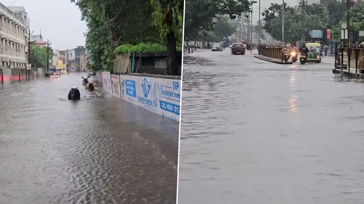 Gujarat Rain: টানা বৃষ্টিতে প্লাবিত গুজরাট, নদীর চেহারা নেওয়া রাস্তার জল ঠ্যাঙিয়ে চলছে গরু, গাড়ি