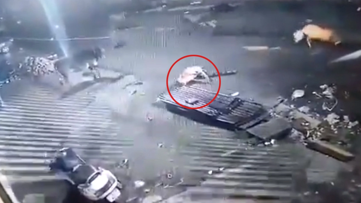 Accident: গভীর রাতে টেস্ট ড্রাইভ করতে গিয়ে দুর্ঘটনা, দেখুন ভিডিও