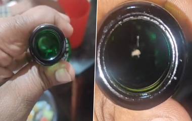 Spider Inside Cold Drink Bottle: সিঙাড়ায় টিকটিকি, চকোলেট সিরাপে মরা ইঁদুরের পর কোল্ড ড্রিঙ্কসের মধ্যে মাকড়সা, ভাইরাল ভিডিয়ো ঘিরে প্রশ্ন