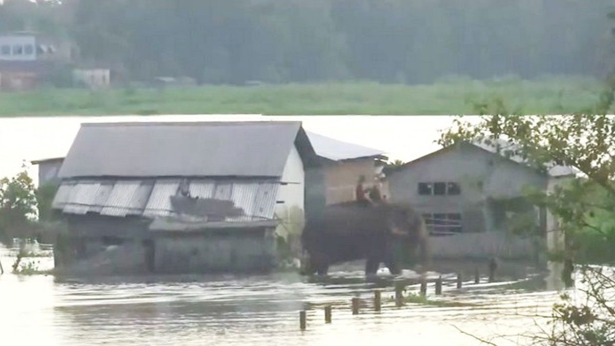 Assam Floods: বন্যায় জটিল পরিস্থিতি অসমে, জলের তোড়ে ডুবছে নগাঁও; মৃত বেড়ে ৮৪