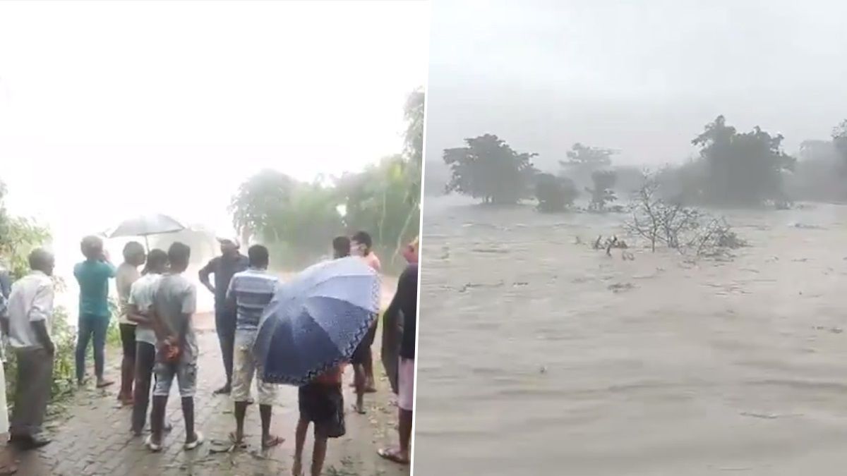 Assam Floods: জলে ভাসছে অসমের বহু অংশ, কাজিরাঙায় পশু, পাখিদের জীবন নিয়ে সংশয়? দেখুন ভিডিয়ো