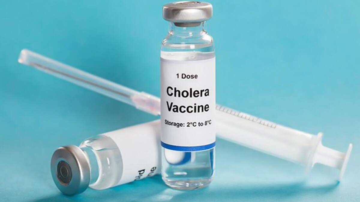 Cholera: যুদ্ধবিরতির পরই কলেরার দাপট, গত ৭ দিনে আক্রান্ত ২৭০০, মৃত ১৭২