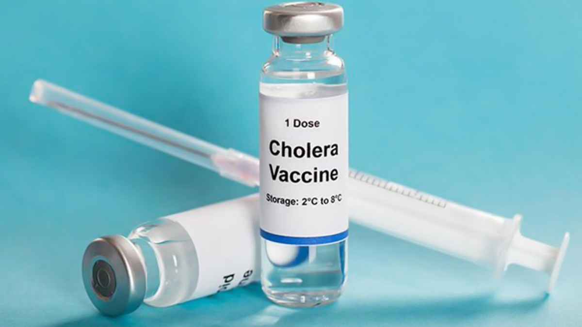 Cholera: যুদ্ধবিরতির পরই কলেরার দাপট, গত ৭ দিনে আক্রান্ত ২৭০০, মৃত ১৭২
