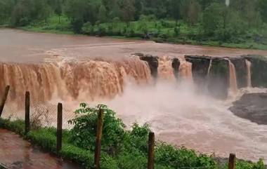 Gujarat Rain: একটানা বৃষ্টিতে ভয়ঙ্করভাবে জল বাড়ল জলপ্রপাতে, দেখুন কী অবস্থা গুজরাটে