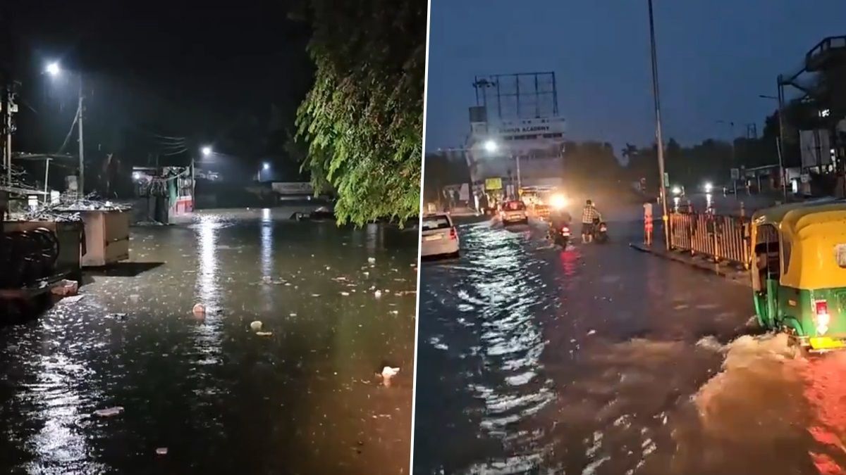 Gujarat Rain: একটানা বর্ষণে বেহাল গুজরাট, দেখুন ভিডিয়ো