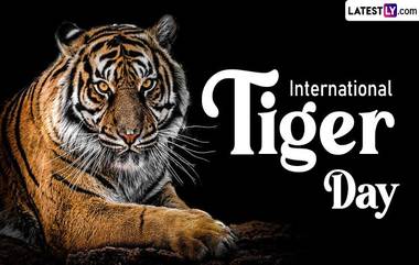 International Tiger Day 2024: আন্তর্জাতিক বাঘ দিবস উপলক্ষে জেনে নিন বাঘ, চিতাবাঘ এবং সিংহের মধ্যে পার্থক্য...