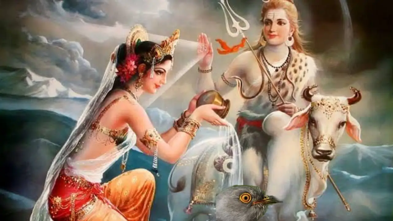 Kokila vrat 2024: বিবাহিত মহিলাদের জন্য গুরুত্বপূর্ণ কোকিলা ব্রত, জেনে নিন কোকিলা ব্রত কেন পালিত হয় এবং এই উপবাস ও পুজোর দিনক্ষণ...