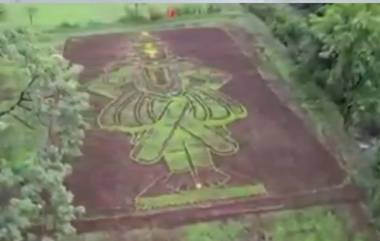 120 Foot Image Of Lord Vithal: আষাঢ়ী একাদশী উপলক্ষে পুনের কৃষি জমিতে 'বিঠালের'১২০ ফুটের অনন্য রূপ (দেখুন ভিডিও)