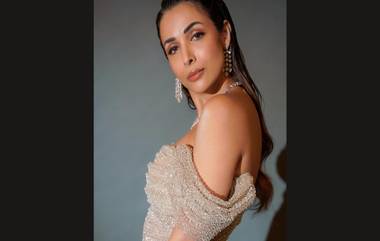 Malaika Arora: অর্জুনের সঙ্গে বিচ্ছেদের পর নয়া সম্পর্কে জড়ালেন মালাইকা অরোরা? জোর গুঞ্জন