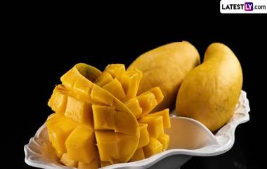 Mango Custard: সুস্বাদু আমের কাস্টার্ড, তৈরি করতে লাগবে মাত্র ১০ মিনিট, জেনে নিন আমের কাস্টার্ডের রেসিপি...