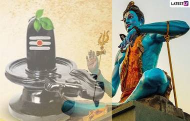 Lord Shiva and Belpata: মহাদেবকে কেন নিবেদন করা হয় বেলপাতা? জেনে নিন মহাদেবকে বেলপাতা নিবেদনের নিয়ম ও বেলপাতার ঔষধিগুণ...