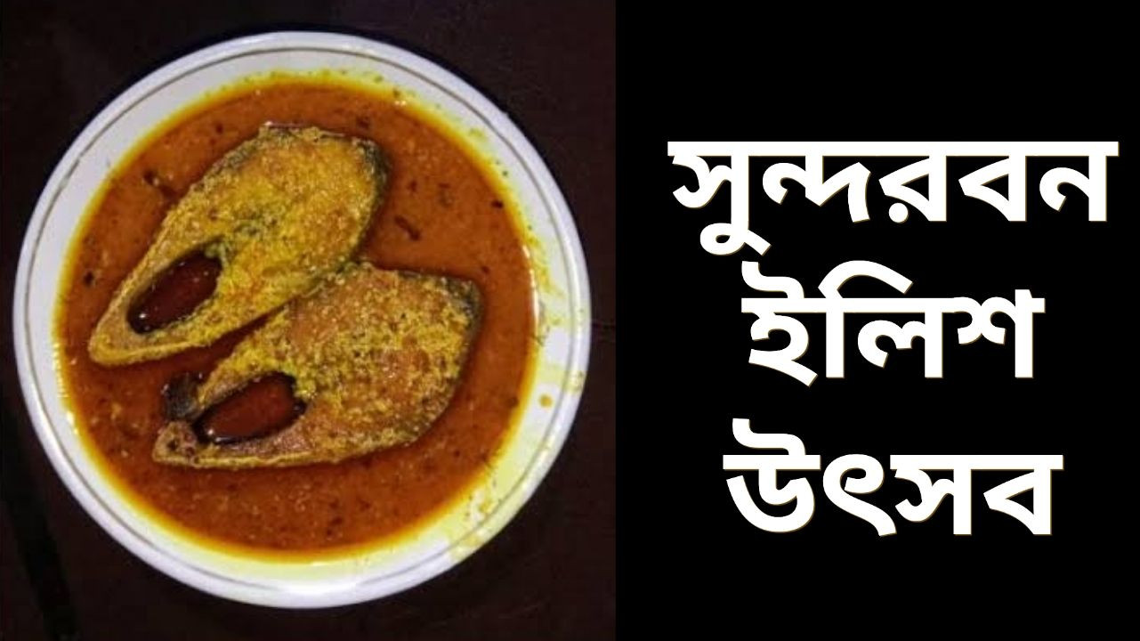 Sundarban Ilish Utsav: শীঘ্রই শুরু হবে সুন্দরবন ইলিশ উৎসব, জেনে নিন কবে এবং কীভাবে অংশ নেবেন এই উৎসবে...