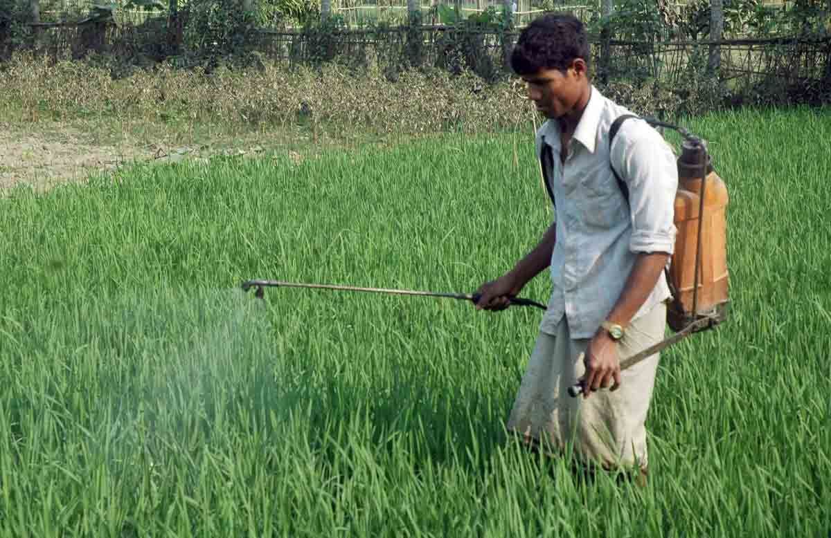 Union Budget 2024 Update: কৃষিক্ষেত্রে চমক! ১.৫২ লক্ষ কোটি টাকার কৃষি বাজেট পেশ অর্থমন্ত্রীর