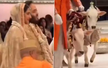 Cow In Anant Ambani Wedding: আম্বানি পুত্রের বিয়েতে হাজির দুই বিশেষ অতিথি, তাদের সামনেই গাঁটছড়া বাঁধলেন অনন্ত-রাধিকা, দেখুন ভিডিয়ো