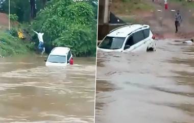 Viral Video: সেতু থেকে পড়ে নদীর জলে ভেসে গেল গাড়ি, ভাইরাল মর্মান্তিক ঘটনার ভিডিয়ো