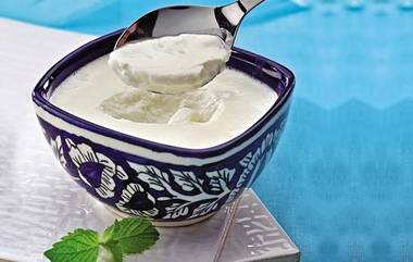 Curd in Monsoon: বর্ষায় দই খাওয়া উচিত? জেনে নিন বর্ষায় দই খাওয়ার বিষয়ে বিশেষজ্ঞদের মতামত...