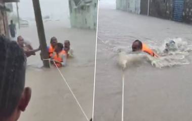 Gujrat Rain: বৃষ্টিতে বিপর্যস্ত গুজরাট, রাস্তায় জলে আটকে পড়া মানুষদের রক্ষায় তৎপর প্রশাসন, দেখুন ভিডিয়ো