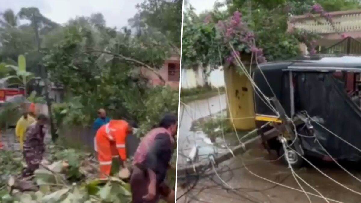 Kerala Rain: বৃষ্টিতে বিপর্যস্ত কেরল,রাস্তায় উপড়ে পড়েছে গাছ সহ বিদ্যুতের খুঁটি , দেখুন ভিডিয়ো