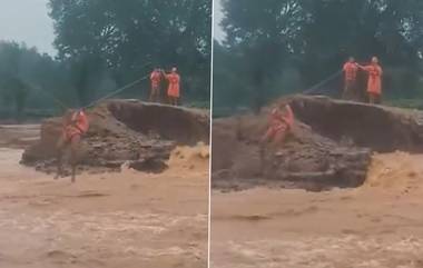 Wayanad Landslide: বিধ্বংসী ওয়ানাডে জীবন বাজি রেখে উদ্ধারকাজ চালাচ্ছে এনডিআরএফ ও সেনারা, দেখুন ভিডিও