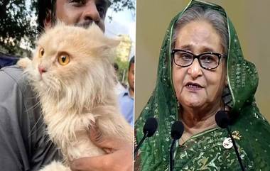 Sheikh Hasina's Cat: ৪০ হাজার টাকায় বিক্রি হয়েছিল হাসিনার প্রিয় পার্সি বিড়ালটি, কীভাবে গণভবনে ফিরল সেই পোষ্য?