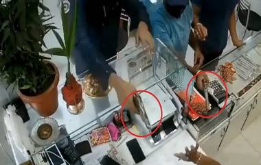 Viral Video: বন্দুকধারী ডাকাতদের পিটিয়ে বিদেয় করলেন সাহসী দোকানদার, দেখুন ভাইরাল ভিডিও