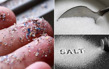 Microplastics in Salt and Sugar: দেশিয় সংস্থায় উৎপন্ন নুন এবং চিনিতে মাইক্রোপ্লাস্টিকের অবাধ উপস্থিতি, প্রকাশ্যে ভয় ধরানো রিপোর্ট