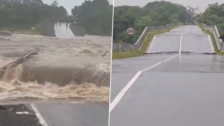 Gujarat: ভারী বৃষ্টিতে বানভাসি গুজরাট, বন্ধ রাস্তাঘাট