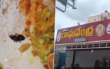 Cockroach in Dosa: রেস্তোরাঁয় ধোসা খেতে গিয়ে পাতে মিলল আস্ত আরশোলা, দেখুন ভাইরাল ভিডিয়ো