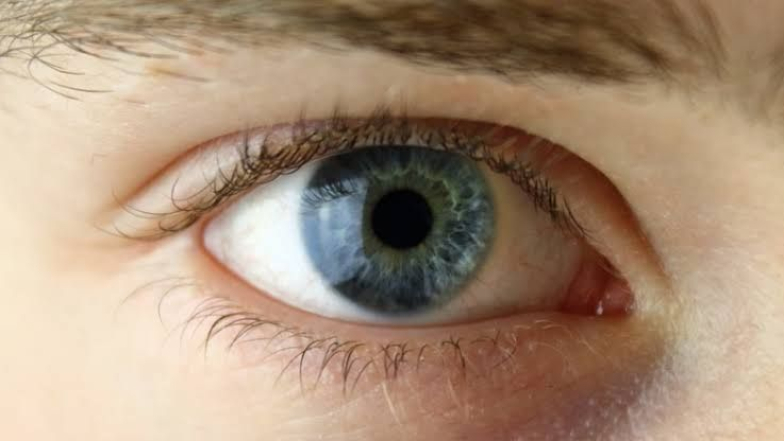 Eye Care: কন্টাক্ট লেন্স কি কর্নিয়ার জন্য ক্ষতিকর? জেনে নিন, কন্টাক্ট লেন্সের পার্শ্বপ্রতিক্রিয়া এবং ব্যবহার করার পদ্ধতি...