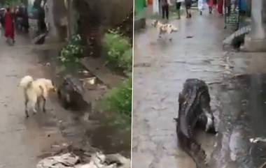 Viral Video: জল থেকে রাস্তায় উঠে এল কুমির, আতঙ্কে গোটা গ্রাম, দেখুন ভিডিয়ো