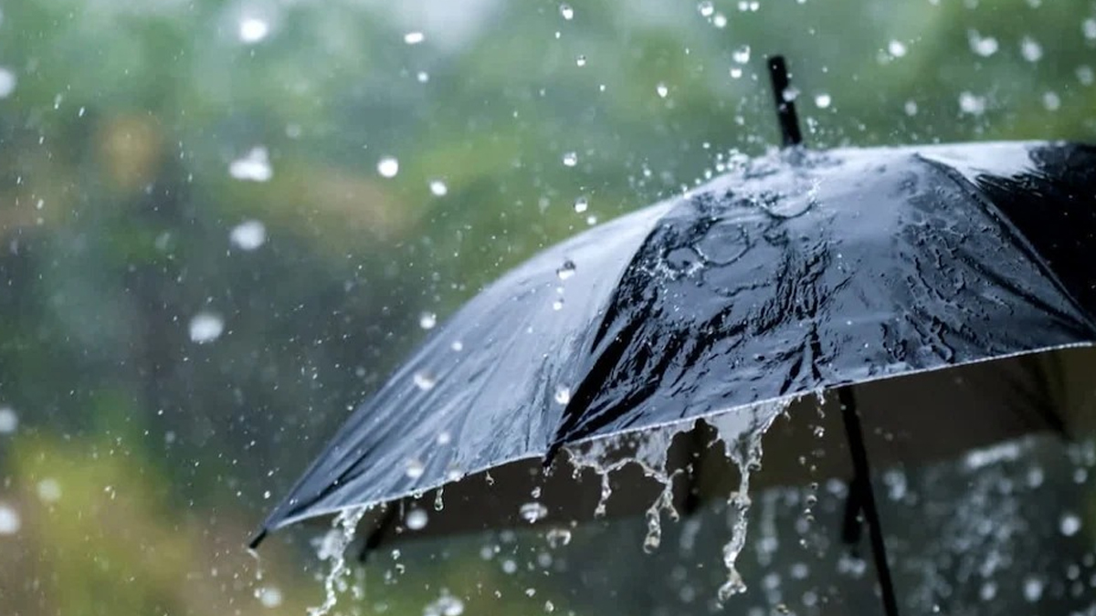 IMD Forecasts: উপকূলীয় তামিলনাড়ু এবং পুদুচেরির বিচ্ছিন্ন জায়গায় ভারী থেকে অতি ভারী বৃষ্টিপাত, জানাল আই এম ডি