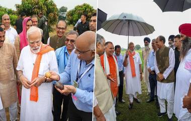 PM Modi Tweet: গবেষণা ও উদ্ভাবন ফসলের ফলন বাড়াবে; অন্নদাতাদের সঙ্গে সাক্ষাতের স্মরণীয় অভিজ্ঞতার পর বললেন প্রধানমন্ত্রী মোদী (দেখুন ভিডিও)