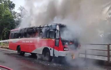 Bus Fire: রাস্তার মাঝে পুড়ে ছাই যাত্রীবাহী বাস, দেখুন ভিডিয়ো