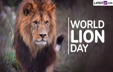 World Lion Day 2024: বিশ্ব সিংহ দিবস কবে? জেনে নিন বিশ্ব সিংহ দিবসের ইতিহাস ও গুরুত্ব...