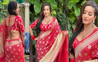 Monalisa Saree Look: লাল শাড়িতে সুন্দরী অভিনেত্রী মোনালিসা, মুগ্ধ তার ভক্তরা...