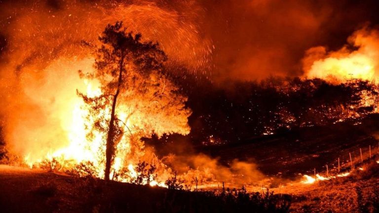 Turkey Wildfire: গ্রিসের পর এবার তুরস্ক, ভয়াবহ দাবানলে জ্বলছে পশ্চিম তুর্কি