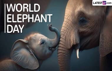 World Elephant Day 2024: বিশ্ব হাতি দিবস কবে? জেনে নিন বিশ্ব হাতি দিবসের ইতিহাস এবং গুরুত্ব...