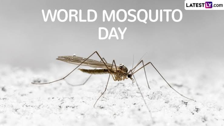 World Mosquito Day 2024: বিশ্ব মশা দিবস কবে? জেনে নিন বিশ্ব মশা দিবসের ইতিহাস ও গুরুত্ব...