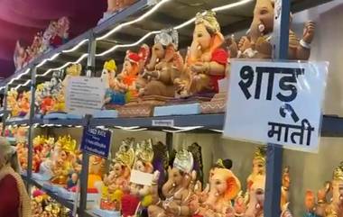 Ganesh Chaturthi 2024: এবার গণেশ পুজোয় পরিবেশ বান্ধব মূর্তি তৈরি নাসিকের মৃৎ শিল্পীদের হাতে (দেখুন ভিডিও)