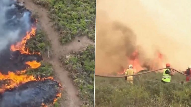 Peru Wildfires: পেরুতে দাবানলে মৃত ১৫ জন, হাজার হাজার হেক্টর জমি পুড়ে ছাই