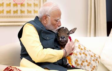 PM Modi and Calf Video: লোক কল্যান মার্গে এল নতুন অতিথি 'দীপজ্যোতি', কোলে বসিয়ে ছবি তুললেন প্রধানমন্ত্রী নরেন্দ্র মোদী (দেখুন