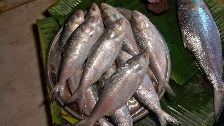 Padma Hilsa: উৎসবের মরসুমে পাতে পড়বে না পদ্মার ইলিশ, দুর্গাপুজোর আগেই রপ্তানিতে নিষেধাজ্ঞা বাংলাদেশ অন্তর্বর্তী সরকারের