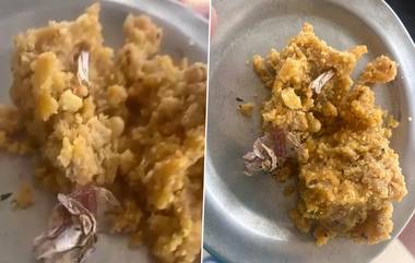 Tirupati Laddu Controversy: পশুর চর্বি ও মাছের তেলের পর এবার মাদক, তিরুপতির প্রসাদী লাড্ডু ঘিরে নয়া বিতর্ক