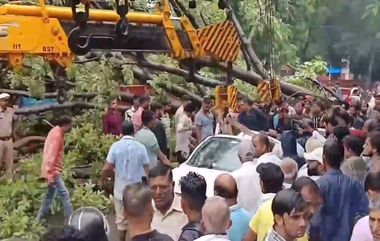 Haryana Rain: বৃষ্টিতে উপড়ে গাড়ির মাথায় পড়ল গাছ, পিষ্টে মৃত্যু দুই মহিলার