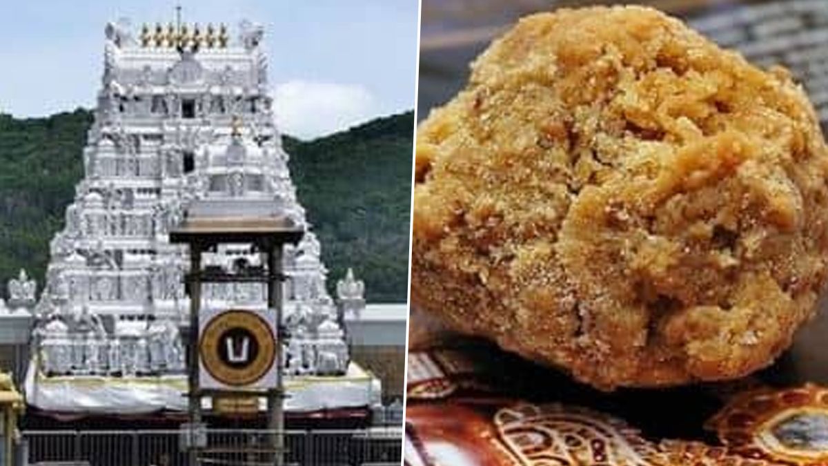 Tirupati Row: তিরুপতিতে লাড্ডুতে গরু, শুয়োরের চর্বি বিতর্ক চরমে, নোটিশ, বন্ধ শুদ্ধিকরণের কাজ