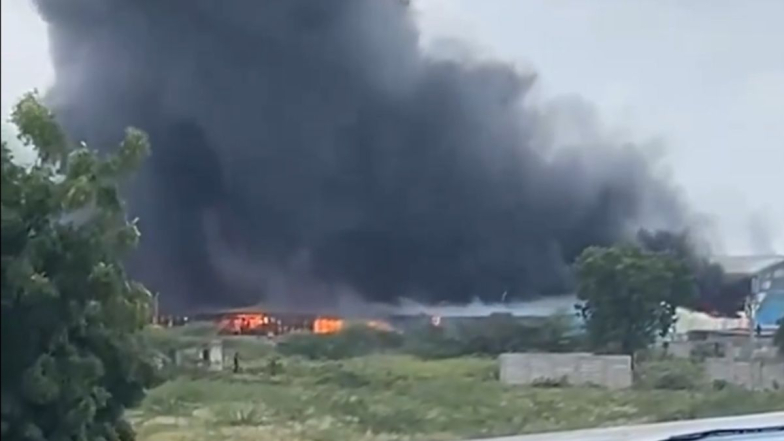 Gujarat Fire: আঞ্জার-গান্ধীধাম হাইওয়ের কাছে বিধ্বংসী আগুন, ঘটনাস্থলে দমকল বাহিনী, তদন্তে পুলিশ