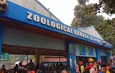 Alipore Zoo: কলকাতার অন্যতম আকর্ষণ আলিপুর চিড়িয়াখানার আজ ১৫০ বছর পূর্তি