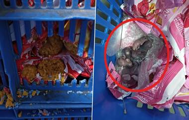 Rats in Siddhivinayak Laddu Prasad: তিরুপতি লাড্ডু বিতর্কের মাঝে সিদ্ধিবিনায়কের প্রসাদে ইঁদুরের দৌরাত্ম্য, ভাইরাল ভিডিয়ো নিয়ে তোলপাড়